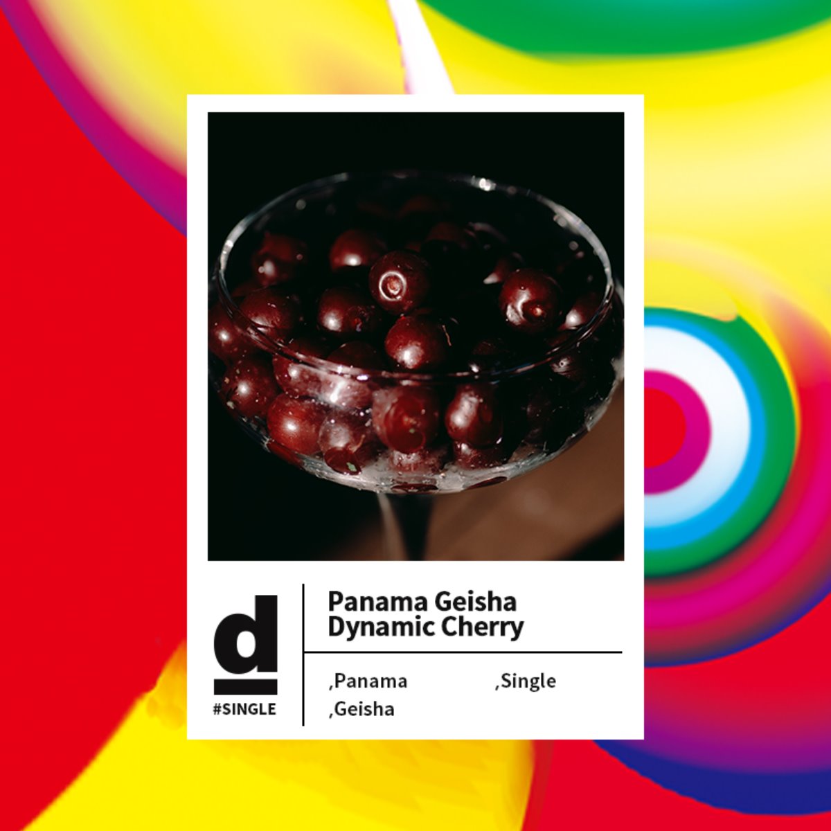 #Single Origin - Panama Boquete Geisha 036-RSV Dynamic Cherry